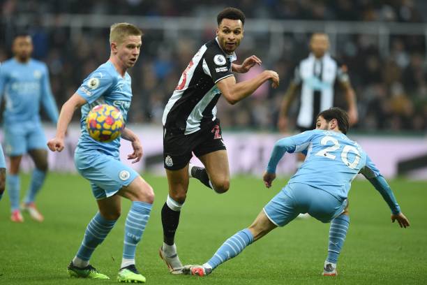 扬科维奇的 扬科维奇的