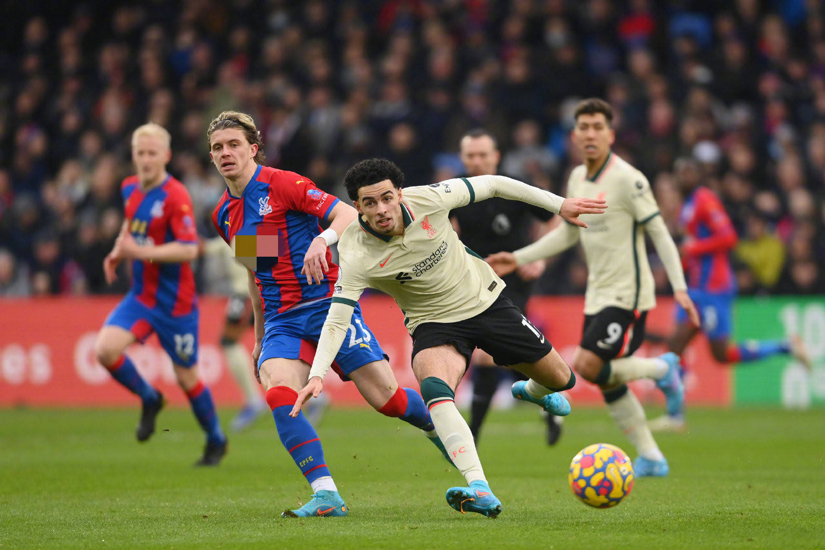 命的一传 命的一传